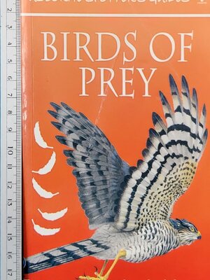 Knowledge Book** 🍅🍅Usborne Spotter's Guide BIRDS OF PREY
