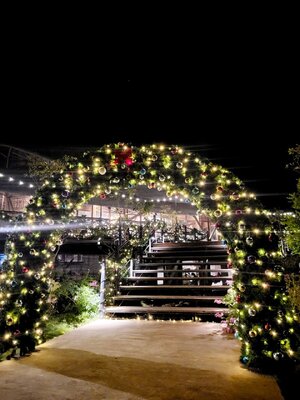 ซุ้มคริสต์มาสตกแต่ง ขนาด3เมตร*3เมตร