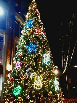 ต้นคริสต์มาสปลอม 6เมตร ตกแต่งพร้อมติดตั้ง ครบจบ