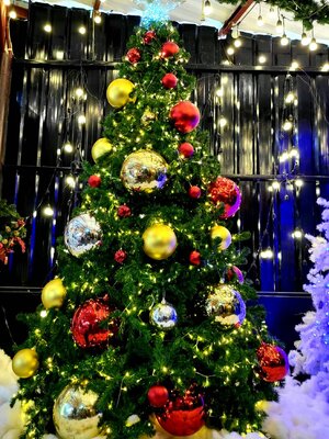 ให้เช่าต้นคริสต์มาสปลอม ขนาด10ฟุต พร้อมตกแต่งครบมาตราฐาน