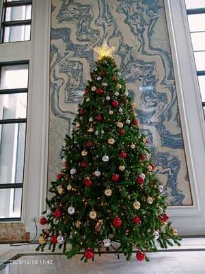 ความเขียวขจีของต้นคริสต์มาสปลอม