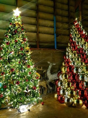 ต้นคริสต์มาสปลอม5