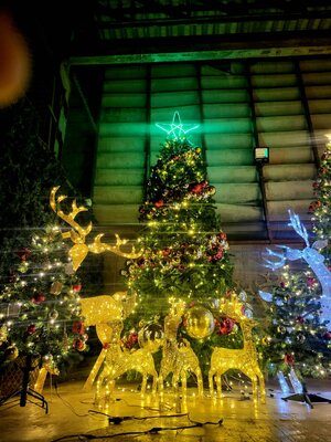 ต้นคริสต์มาสปลอม12ฟุตสวยๆพร้อมของตกแต่งรอบต้น