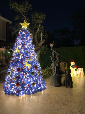 ให้เช่าต้นคริสต์มาสปลอมกรวย ขนาด3เมตร นํ้าเงิน พร้อมตกแต่งครบมาตราฐาน