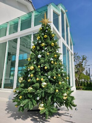 ให้เช่าต้นคริสต์มาสปลอม ขนาด 10ฟุตพร้อมตกแต่งครบมาตราฐาน