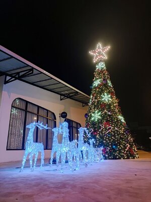 ให้เช่าต้นคริสต์มาสปลอมกรวย ขนาด6เมตร พร้อมตกแต่งครบมาตราฐาน