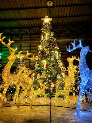 SET รวมครบจบ 4.5เมตร และของตกแต่งใต้ต้น