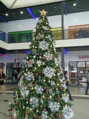 ให้เช่าต้นคริสต์มาสปลอม ขนาด15ฟุต พร้อมตกแต่งครบมาตราฐาน