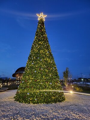 ต้นคริสต์มาสปลอม BANGKOK.