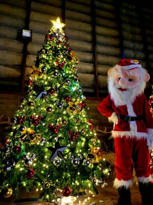 ให้เช่าต้นคริสต์มาสปลอม ขนาด10ฟุต พร้อมตกแต่งครบมาตราฐาน