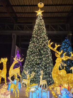 ให้เช่าต้นคริสต์มาสปลอมกรวย ขนาด5เมตร พร้อมตกแต่งครบมาตราฐาน