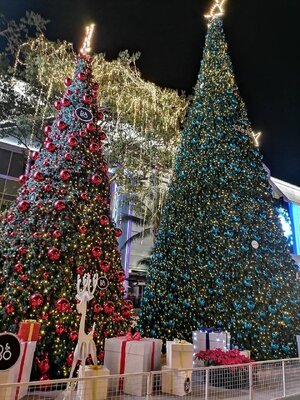 สินค้าคริสต์มาสยอดนิยม