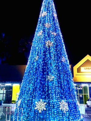 ให้เช่าต้นคริสต์มาสปลอมกรวยนํ้าเงิน ขนาด15เมตร พร้อมตกแต่งครบมาตราฐาน