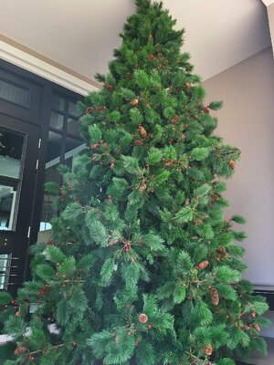 ให้เช่าต้นคริสต์มาสปลอม ขนาด10ฟุต สนนอก พร้อมตกแต่งครบมาตราฐาน