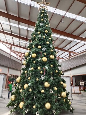 ให้เช่าต้นคริสต์มาสปลอมกรวย ใบvip ขนาด10เมตร พร้อมตกแต่งครบมาตราฐาน