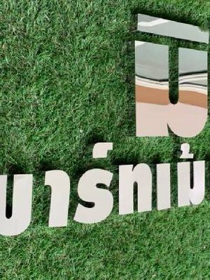 #อักษรสแตนเลสแฮร์ไลน์เงินเงา