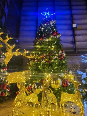 กวางไฟประดับ 50cm