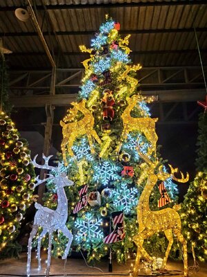 ให้เช่าต้นคริสต์มาสปลอม ขนาด20ฟุต พร้อมตกแต่งครบมาตราฐาน