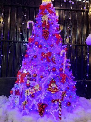 วันคริสต์มาสกับต้นสนปลอม