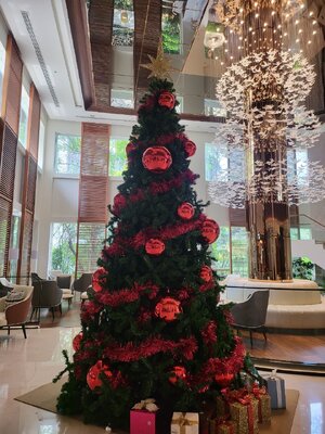 ให้เช่าต้นคริสต์มาสปลอม ขนาด12ฟุต พร้อมตกแต่งครบมาตราฐาน
