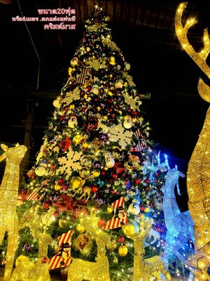 ให้เช่าต้นคริสต์มาสปลอม ขนาด6เมตร พร้อมตกแต่งครบมาตราฐาน