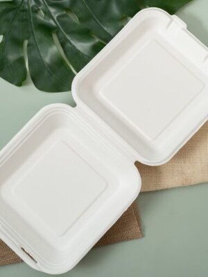 กล่องอาหารเยื่อชานอ้อย 8 นิ้ว