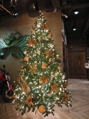 ให้เช่าต้นคริสต์มาสปลอม ขนาด 10ฟุตพร้อมตกแต่งครบมาตราฐาน