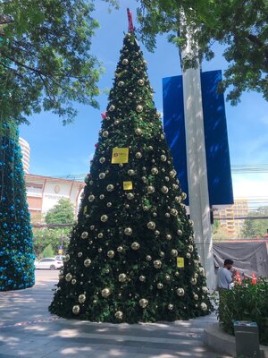 ให้เช่าต้นคริสต์มาสปลอมกรวย ขนาด9เมตร พร้อมตกแต่งครบมาตราฐาน