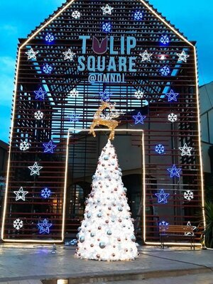 ให้เช่าต้นคริสต์มาสปลอมกรวย สนขาว ขนาด5เมตร พร้อมตกแต่งครบมาตราฐาน