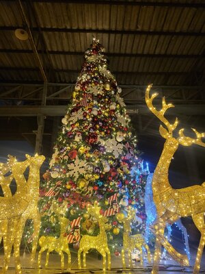 ต้นคริสต์มาสปลอม8