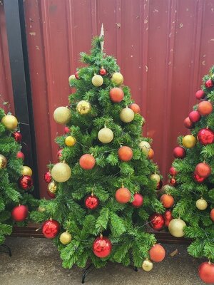 ให้เช่าต้นคริสต์มาสปลอม ขนาด5ฟุต พร้อมตกแต่งครบมาตราฐาน