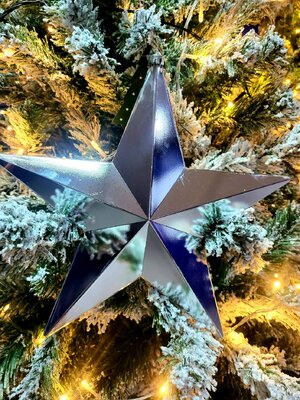 ดาวคริสต์มาสสีเงินตกแต่ง30cm.ชิ้น
