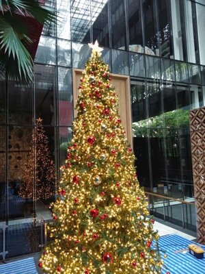 ให้เช่าต้นคริสต์มาสปลอม ขนาด20ฟุต พร้อมตกแต่งครบมาตราฐาน