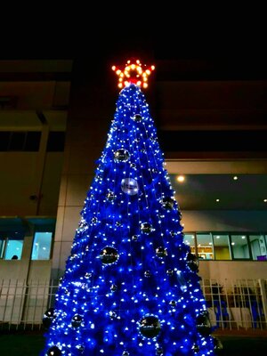 ให้เช่าต้นคริสต์มาสปลอมกรวย ขนาด6เมตร พร้อมตกแต่งครบมาตราฐาน