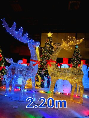 กวางคริสต์มาสใหญ่ 2.2เมตร สิ่งที่คุณต้องมีในการตกแต่งธีมคริสต์มาส