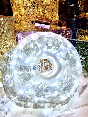 ให้เช่าไฟประดับขนาด100 เมตร