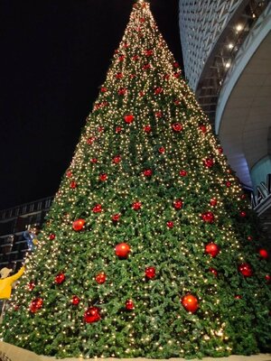 ให้เช่าต้นคริสต์มาสปลอมกรวย ขนาด15เมตร พร้อมตกแต่งครบมาตราฐาน