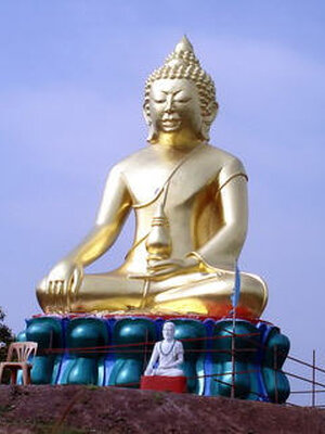 ปางหมอยา