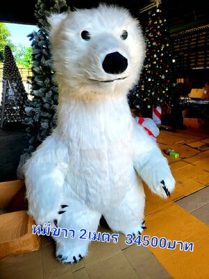 หมีขาว2เมตร.