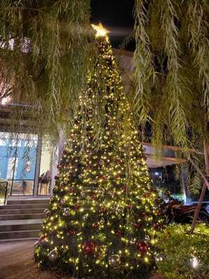 ต้นคริสต์มาสปลอม"ใจกลางเมือง"