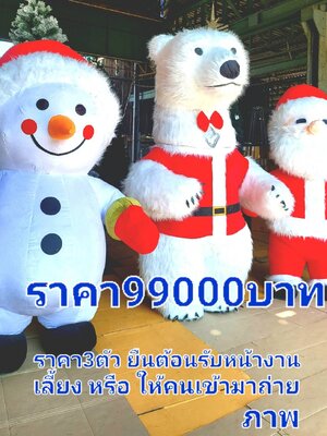 ชุดของตกแต่ง สุดพิเศษ