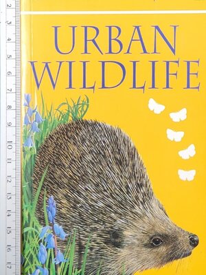 Knowledge Book** 🍅🍅Usborne Spotter's Guide URBAN WILDLIFE