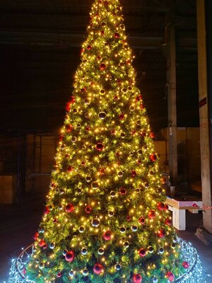 ให้เช่าต้นคริสต์มาสปลอม"กรวย" ขนาด3เมตร พร้อมตกแต่งครบมาตราฐาน