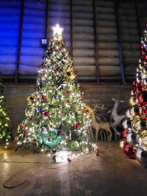 ต้นคริสต์มาส6