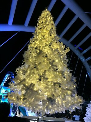 ให้เช่าต้นคริสต์มาสปลอมขาว ขนาด 4.5เมตรพร้อมตกแต่งครบมาตราฐาน