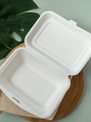 กล่องอาหารเยื่อชานอ้อย 7 นิ้ว