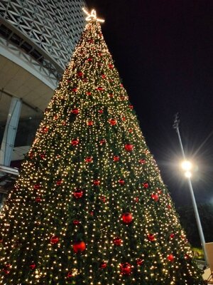 ให้เช่าต้นคริสต์มาสปลอมกรวย ขนาด15เมตร พร้อมตกแต่งครบมาตราฐาน