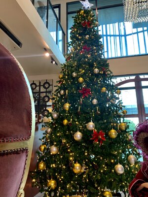 ให้เช่าต้นคริสต์มาสปลอม ขนาด4.5เมตร พร้อมตกแต่งครบมาตราฐาน