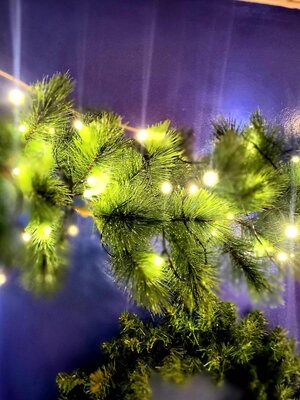 สายสนคริสต์มาสนำเข้า ใบVIP ยาว2.7เมตร"มีไฟ"