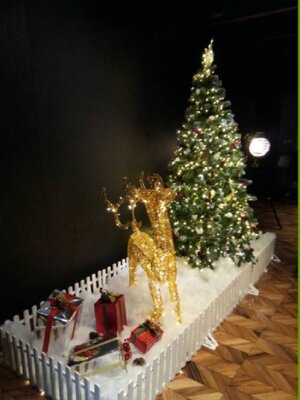 SET ต้นคริสต์มาส7ฟุตพร้อมรั้วและของตกแต่ง